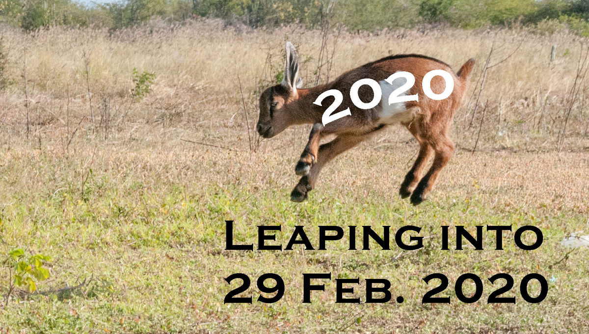 Fun facts about leap year
